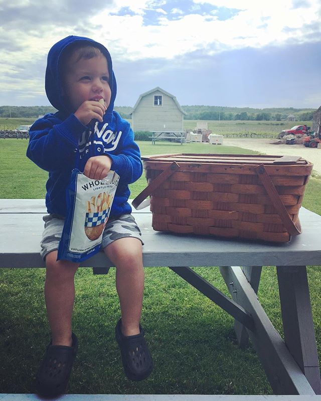 Lunching at the vineyard with his great grandparents picnic basket ❤️
